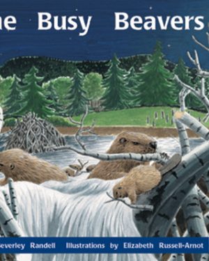 PM Library Orange The Busy Beavers Lvl 16