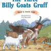 PM Library Orange The Three Billy Goats Gruff Lvl 16
