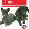 PM Library Orange Dogs Lvl 14-15