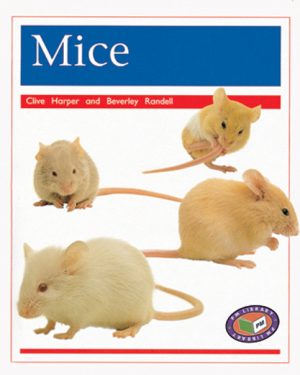 PM Library Orange Mice Lvl 16