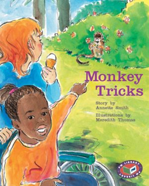 PM Library Turquoise Monkey Tricks Lvl 17