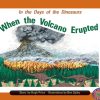 PM Library Turquoise When the Volcano Erupted Lvl 17
