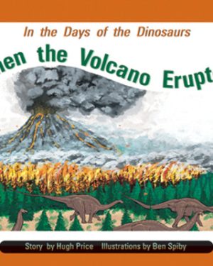 PM Library Turquoise When the Volcano Erupted Lvl 17