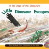 PM Library Turquoise Little Dinosaur Escapes Lvl 17