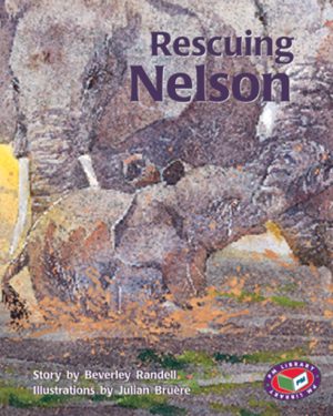 PM Library Turquoise Rescuing Nelson Lvl 17