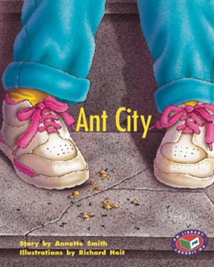 PM Library Turquoise Ant City Lvl 18