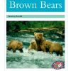 PM Library Turquoise Brown Bears Lvl 18-19