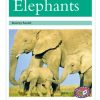 PM Library Turquoise Elephants Lvl 18-19