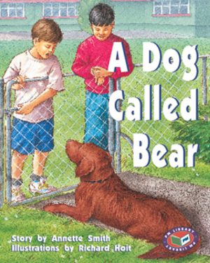 PM Library Purple A Dog Called Bear Lvl 19