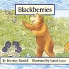 PM Library Yellow Blackberries Lvl 6