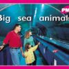 PM Plus Magenta Big Sea Animals Lvl 2: PM Plus: Magenta