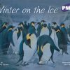 PM Plus Purple Winter on the Ice Lvl 20