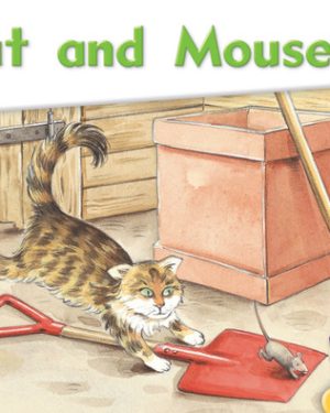 PM Library Magenta Cat and Mouse Lvl 2