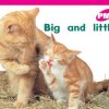PM Plus Magenta Big and Little Lvl 2