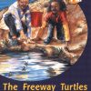 PM Plus Gold The Highway Turtles Lvl 22
