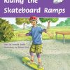 PM Plus Silver Riding the Skateboard Ramps Lvl 23