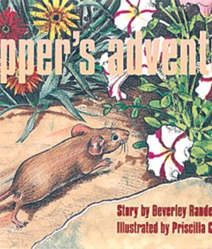 PM Library Green Pepper's Adventure Lvl 14