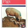 PM Library Purple Pigs Lvl 19-20