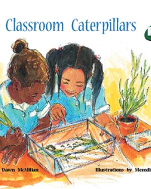 PM Plus Green The Classroom Caterpillars Lvl 13