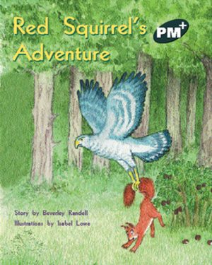 PM Plus Green Red Squirrel's Adventure Lvl 14