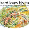 PM Library Red Lizard Loses his Tail Lvl 5