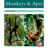 PM Library Turquoise Monkeys and Apes Lvl 18-19: PM Library: Turquoise