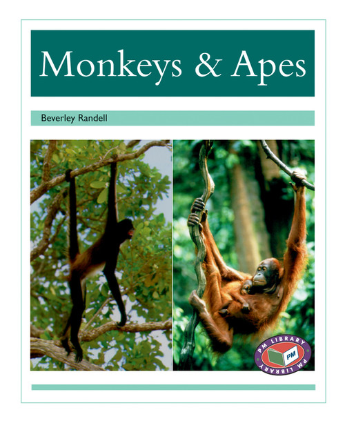 t10 PM Library Turquoise Monkeys and Apes Lvl 18-19: PM Library: Turquoise - Image 1