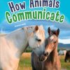 New! Pm Library Ruby How Animals Communicate - Level 27 (R) Single Copy