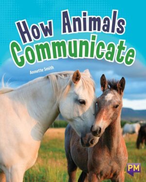 New! Pm Library Ruby How Animals Communicate - Level 27 (R) Single Copy