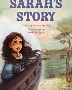 New! Pm Library Sapphire Sarah'S Story - Level 29 (T) Single Copy