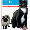 PM Library Orange Cats Lvl 14-15: PM Library: Orange