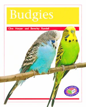 PM Library Orange Budgies Lvl 16: PM Library: Orange