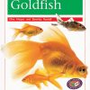 PM Library Orange Goldfish Lvl 16: PM Library: Orange