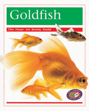 PM Library Orange Goldfish Lvl 16: PM Library: Orange