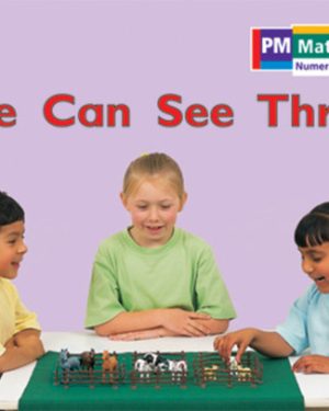 PM Math Magenta/Red We Can See Three Lvl 3-4: PM Math: Magenta/ Red
