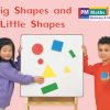 PM Math Magenta/Red Big Shapes and Little Shapes Lvl 3-4: PM Math: Magenta/ Red