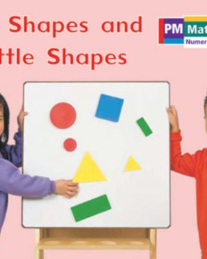 PM Math Magenta/Red Big Shapes and Little Shapes Lvl 3-4: PM Math: Magenta/ Red
