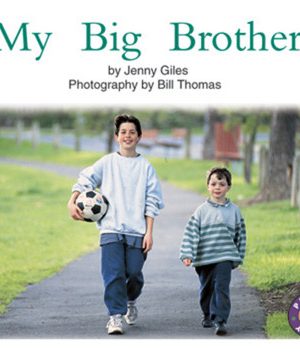 PM Library Yellow My Big Brother Lvl 8-9: PM Library: Yellow