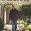 New PM Library Blue A Guide Dog Lvl 11-12
