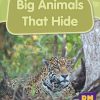 New PM Library Blue Big Animals that Hide Lvl 11-12
