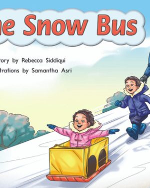 New PM Library Blue The Snow Bus Lvl 10