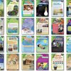 Nelson Text Directions 4 Guided Reading Exemplar Kit