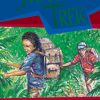 PM Library Sapphire Jungle Trek Lvl 30