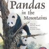 PM Library Gold Pandas in the Mountains Lvl 22