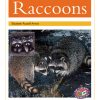 PM Library Gold Raccoons Lvl 22