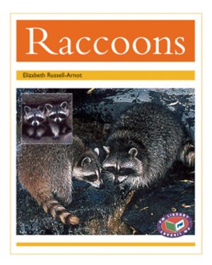 PM Library Gold Raccoons Lvl 22