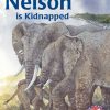 PM Library Silver Nelson is Kidnapped Lvl 23