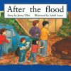 PM Library Green After the Flood Lvl 14