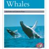 PM Library Silver Whales Lvl 24