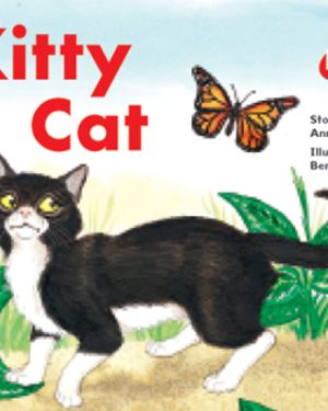 PM Plus Red Kitty Cat Lvl 3